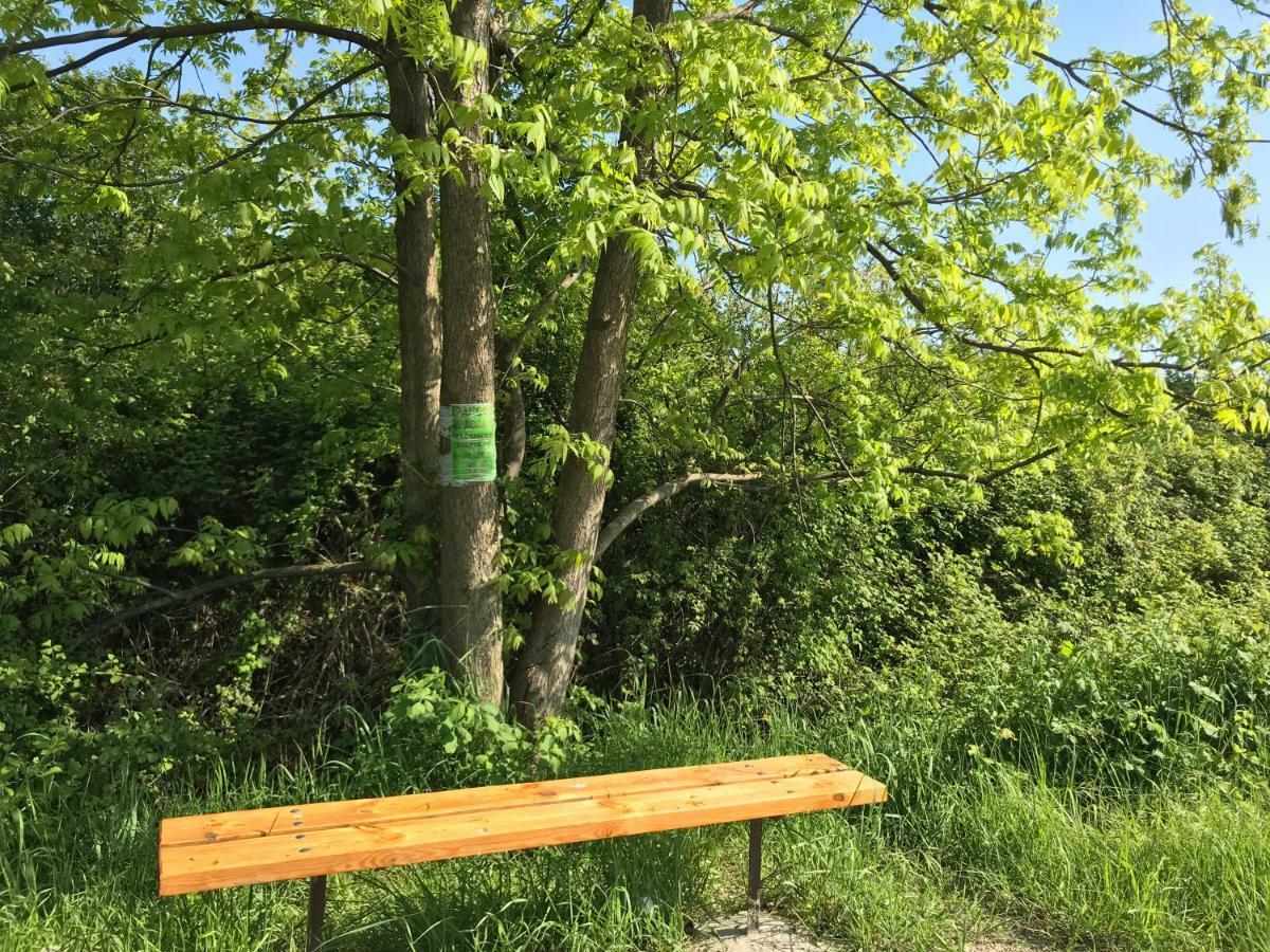 Ainar 호텔 가그라 외부 사진